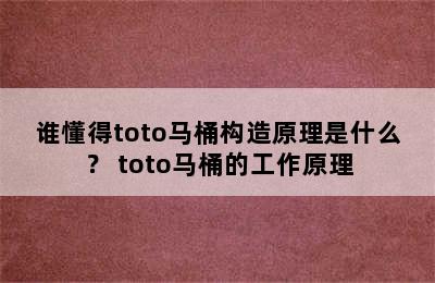 谁懂得toto马桶构造原理是什么？ toto马桶的工作原理